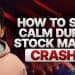 How to Stay Calm During Stock Market Crashes